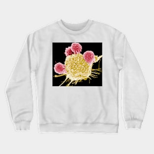 T lymphocytes and cancer cell, SEM (C001/1678) Crewneck Sweatshirt